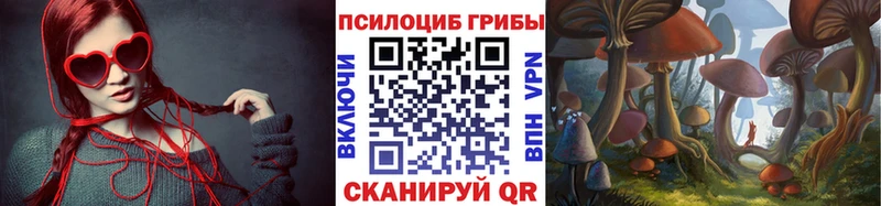 Купить  Шлиссельбург  Галлюциногенные грибы MAGIC MUSHROOMS 